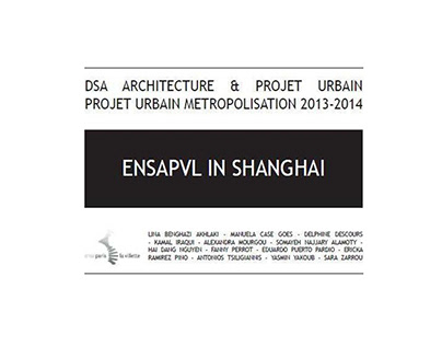 WORKSHOP - DSA/ ENSAPLV IN SHANGHAI