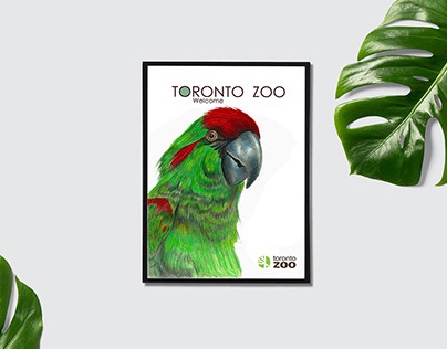 Toronto Zoo Posters