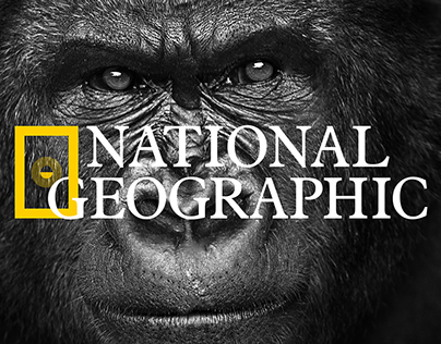 National Geographic Newspaper/CI School project.