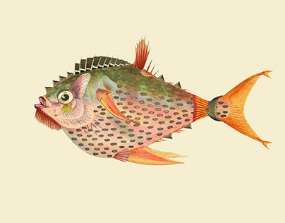 Infertile fishes: Etropus Rhombus (collage)