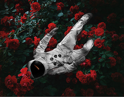 If i die young , lay me down on a bed of roses