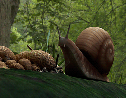 A snail's path