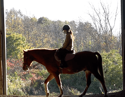 Horseback Riding Program