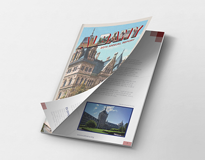 2015 Annual Report & Meeting Design Suite