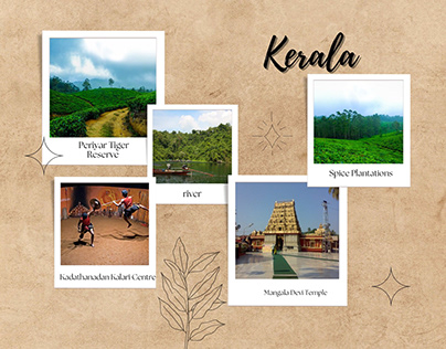 Discover the Magic of Thekkady