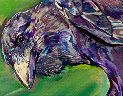 Extinct species (Corvus hawaiiensis)
