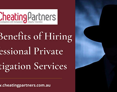 Professional Private Investigation Services