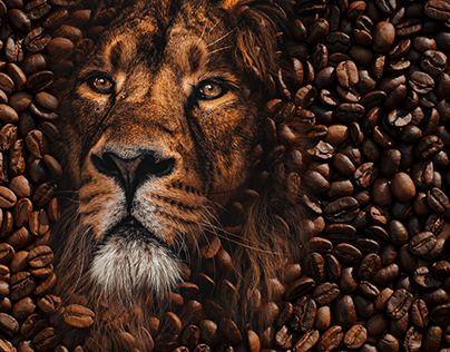 Bringing out the lion: Caffe Tomoka Logo reimagined