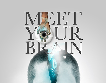 Meet Your Brain