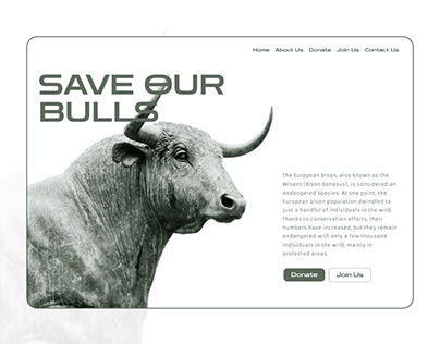 Save Our Bulls - Landing Page