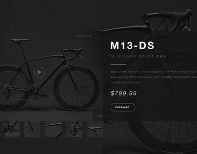 Bicycle UX/UI Landing Page Concept