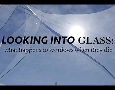 Looking Into Glass