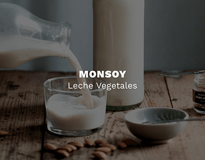 Rebranding | Monsoy