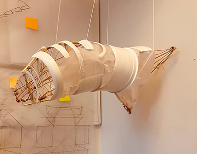 "Arnold the Airship," Digital Materiality II