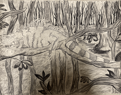 Iguana Charcoal/Pencil drawing