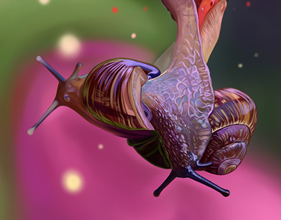 Snail, digital speed painting.