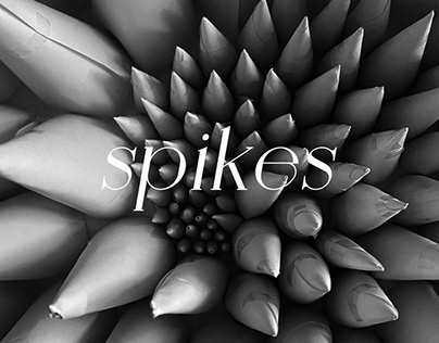 Spikes | Installation Art