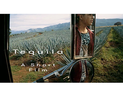 Tequila - From field to bottle