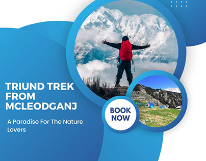 Triund Trek From Mcleodganj A Paradise For The Nature