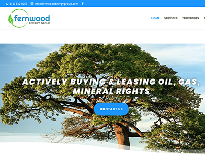 Fernwood Energy Group: Branding and Web