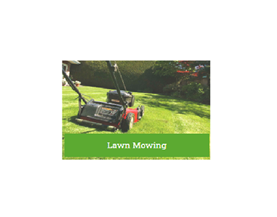 Lawn Mowing Mulgrave