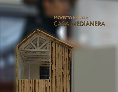 Proyecto Habitar: Casa Medianera