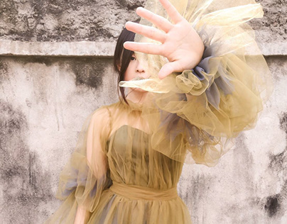 Two Tone Tulle Dress