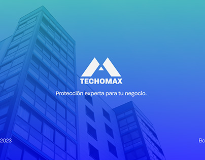 Techo Max Branding Project