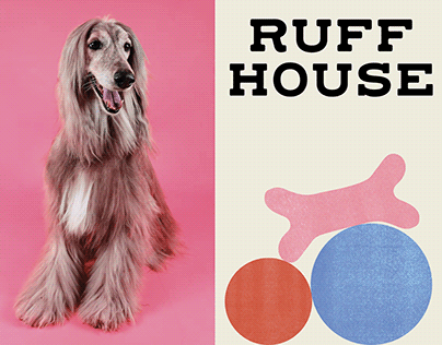 Ruff House Dog Daycare Rebrand