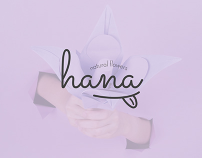 Hana: Packaging for Ice Cream