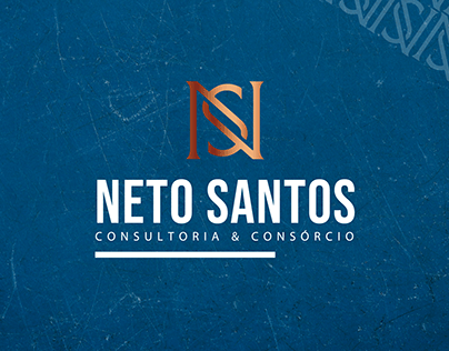 Neto Santos | Consultoria 2