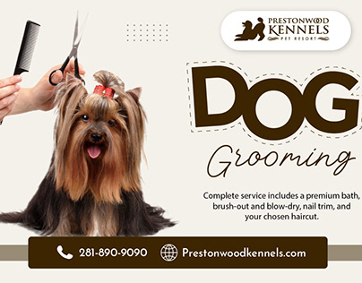 Transform Your Dog with Expert Grooming