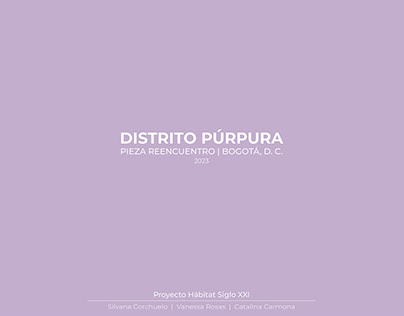 Distrito Púrpura - Hábitat Siglo XXI