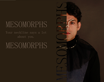 Mesomorphs- A Fashion Styling Project