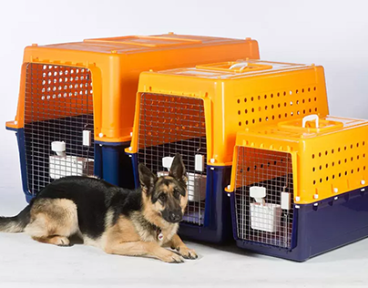 The right dog crates, cages and boxes for travel