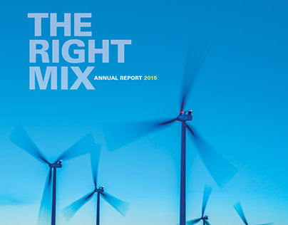 2015 Xcel Energy Annual Report