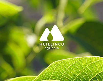 Branding & Web  · Agricola Huillinco