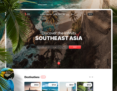 Travel agency / Website
