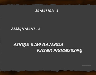 Adobe Raw Camera Filter Processing