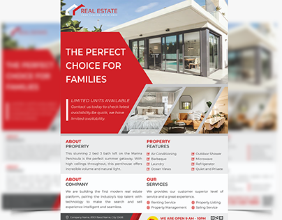 Commercial Real Estate Flyer