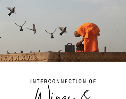 interconnection of Wings & Beings