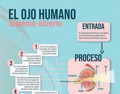 Infografía, el ojo humano como sistema