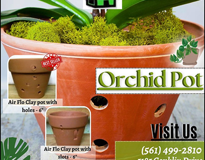 Orchid Pot - Choose best Container for your plants