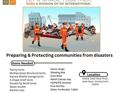 Disaster Dynamics: The Art of Preparedness