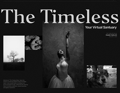 Project thumbnail - The Timeless Blog