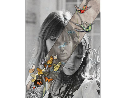 Jane Birkin, Digital Collage