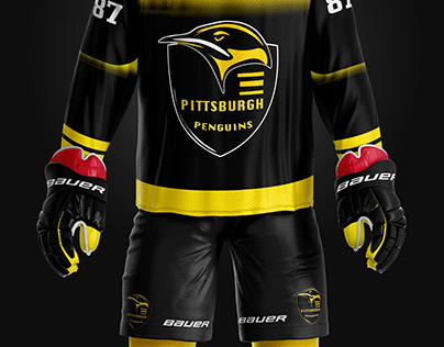 Pittsburgh Penguins CONCEPT