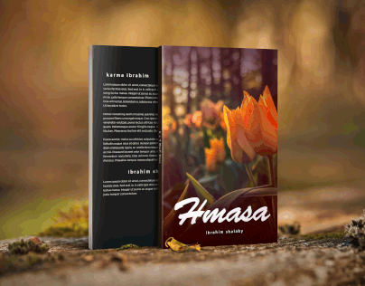 DS Book Hamsa