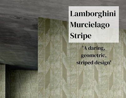 Lamborghini Murcielago Stripe - Image