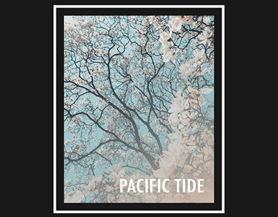 Apparel Graphic: Pacific Tide - Sakura